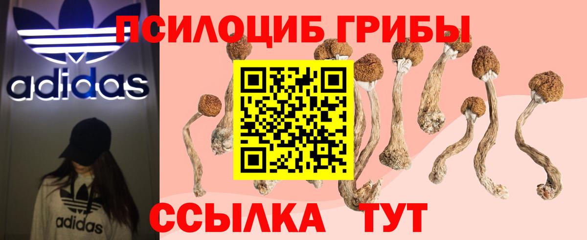 Галлюциногенные грибы прущие грибы  Вход с VPN  Артём 