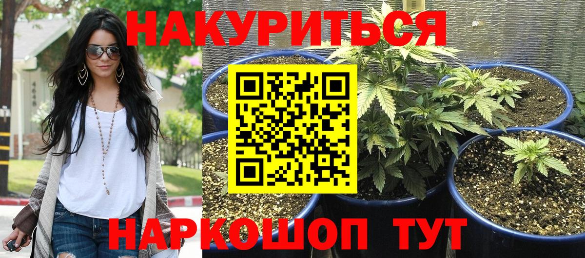 Бошки Шишки LSD WEED  Конопля планчик  Вход с VPN  Конопля гибрид  МАРИХУАНА конопля  Артём 
